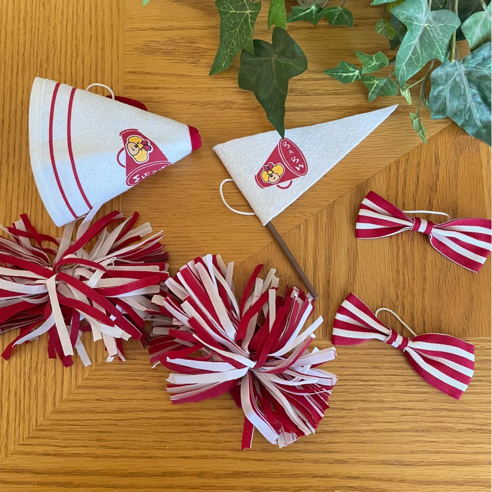 Build A Bear Cheerleader Accessories